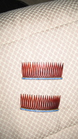 hair combs loan from Herrel IMG_0005 (5).JPG image/jpeg thumbnail