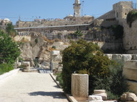 IMG_2230.JPG image/jpeg thumbnail