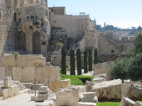 IMG_2231.JPG image/jpeg thumbnail