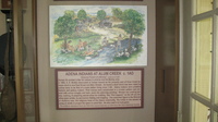 image/jpeg thumbnail