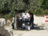 IMG_2216.JPG image/jpeg thumbnail