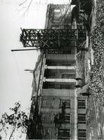 image/tiff thumbnail