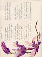 image/jpeg thumbnail