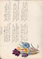 image/jpeg thumbnail