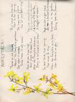 image/jpeg thumbnail