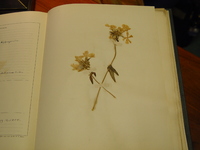 image/jpeg thumbnail