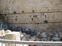 IMG_2246.JPG image/jpeg thumbnail