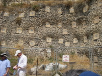 IMG_2242.JPG image/jpeg thumbnail