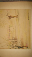 image/jpeg thumbnail