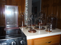 Hamilton artifacts P1010880.JPG image/jpeg thumbnail