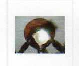 image/jpeg thumbnail