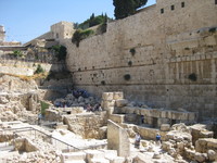 IMG_2235.JPG image/jpeg thumbnail