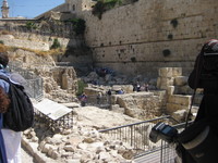 IMG_2236.JPG image/jpeg thumbnail