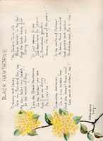 image/jpeg thumbnail