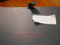 image/jpeg thumbnail