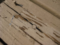 image/jpeg thumbnail