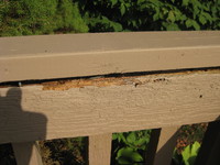 image/jpeg thumbnail