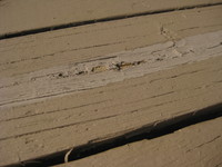 image/jpeg thumbnail