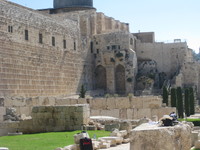 IMG_2221.JPG image/jpeg thumbnail