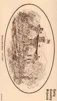 image/jpeg thumbnail