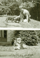 image/jpeg thumbnail