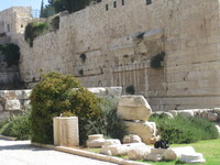 IMG_2224.JPG image/jpeg thumbnail