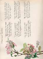 image/jpeg thumbnail