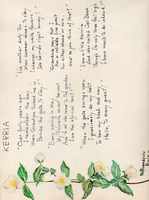 image/jpeg thumbnail